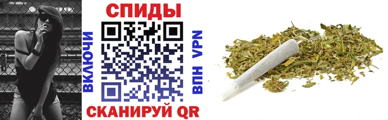 БУТИРАТ буратино  Купить где  Верея 