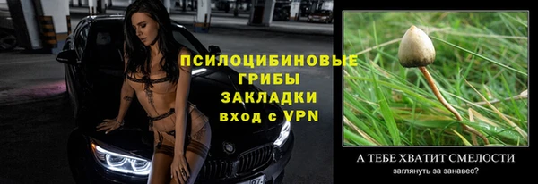 молекула духа Каменногорск