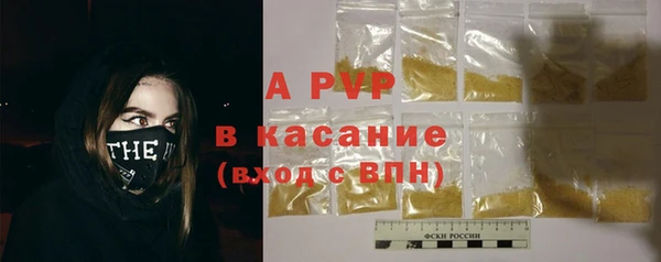 молекула духа Каменногорск