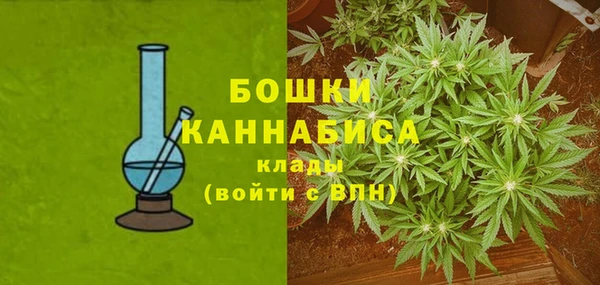 молекула духа Каменногорск