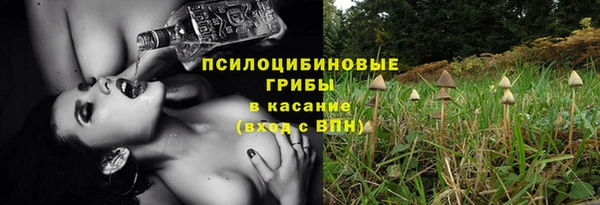 молекула духа Каменногорск