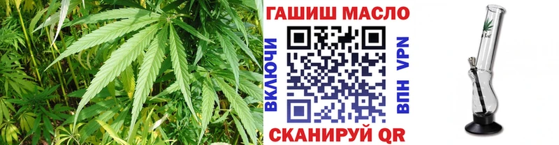 Купить где  Верея  Дистиллят ТГК THC oil 